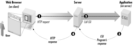 Figure 1-1